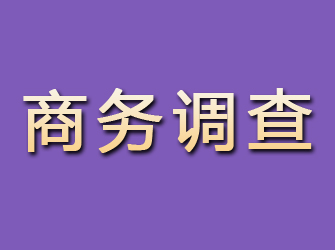 新邵商务调查